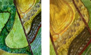 Chantal details quilt