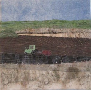 One Step Ahead of the Gulls - 800 pix