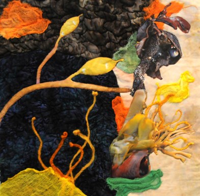 slesinger.s_Californiatidepool_full