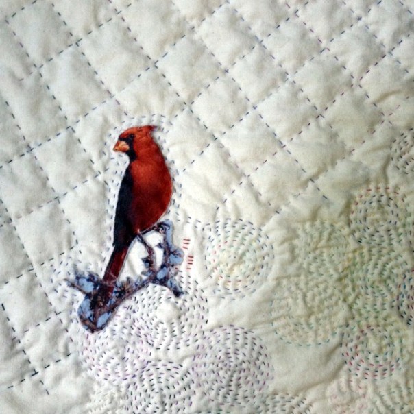 Susan H - Cardinal background close-up 2