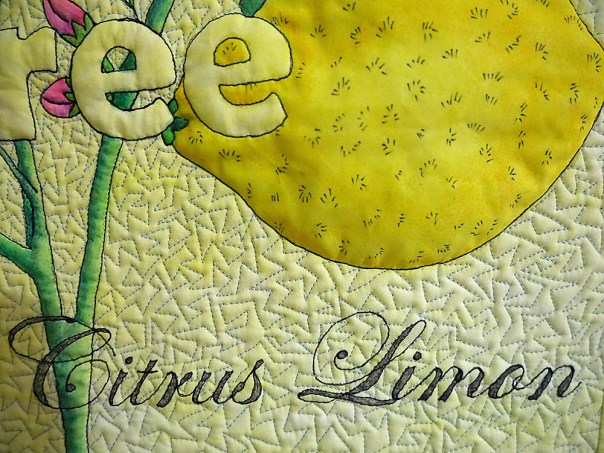 lemon-tree-close-up-1
