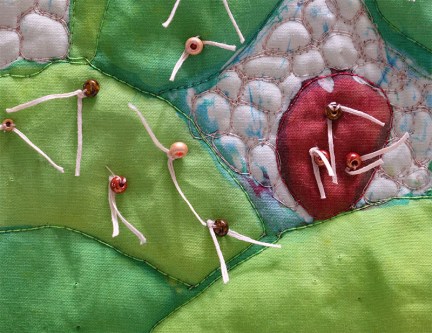 sslesinger_cactus_detail2